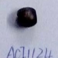 ACI1124