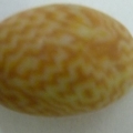 ACI1350