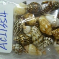 ACI1354
