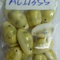 ACI1355