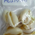 ACI1356
