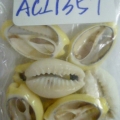 ACI1357