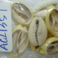 ACI1357