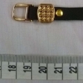 ACI1427