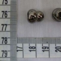 ACI1446