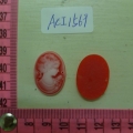 ACI1569