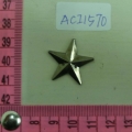 ACI1570