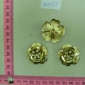 ACI1577