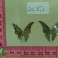 ACI1672