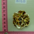 ACI1676