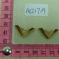 ACI1719