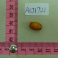 ACI1721
