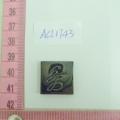 ACI1743