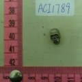 ACI1789