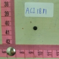 ACI1811
