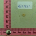ACI1812