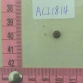 ACI1814