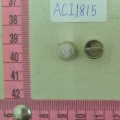 ACI1815