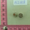 ACI1818