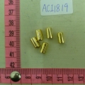ACI1819