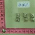 ACI1869