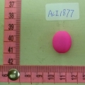 ACI1877