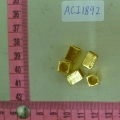 ACI1892