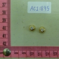 ACI1895