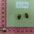 ACI1896