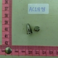 ACI1898