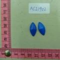 ACI1902