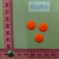 ACI1903