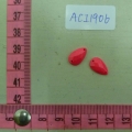 ACI1906