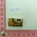 ACI1982