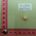 ACI1984