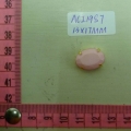 ACI1987