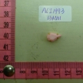 ACI1993