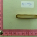 ACI1994