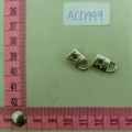 ACI1999