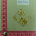 ACI2003
