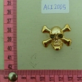ACI2005