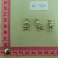 ACI2006