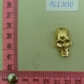 ACI2010