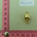 ACI2011
