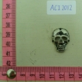 ACI2012