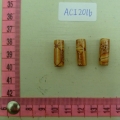 ACI2016