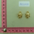 ACI2020