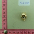 ACI2026