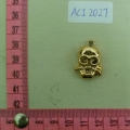 ACI2027