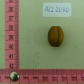 ACI2030